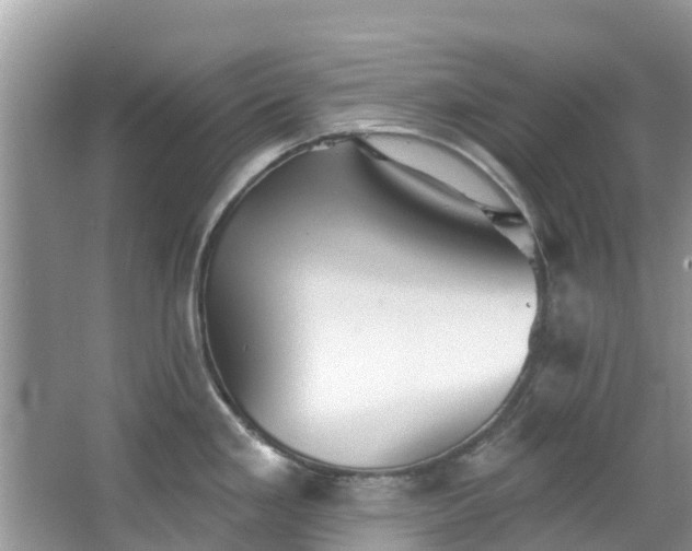 X0000066971293200603311439