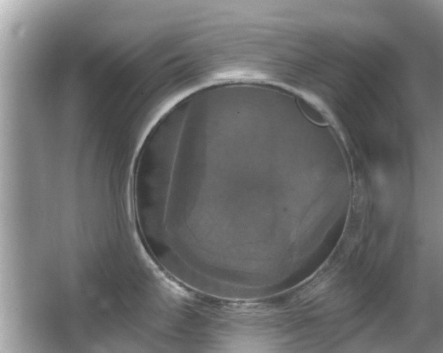 X0000066971295200603311439