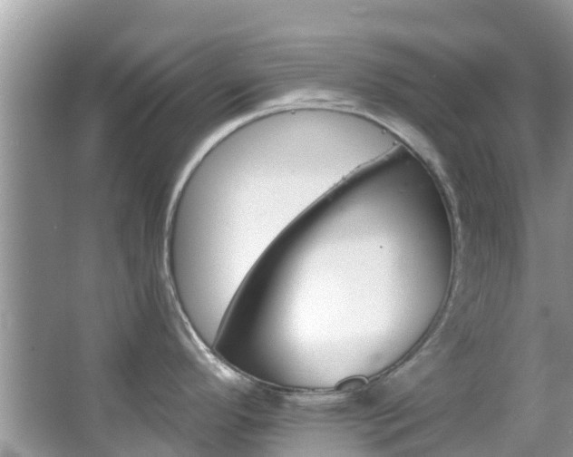 X0000066971296200603311439