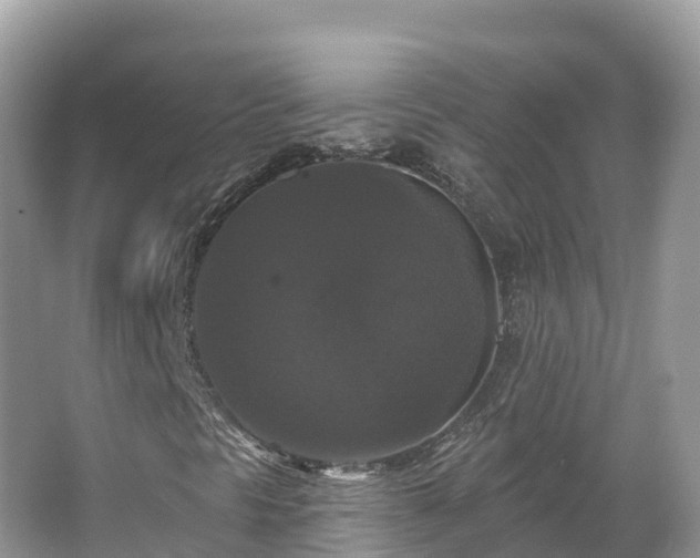 X0000066971297200603311438