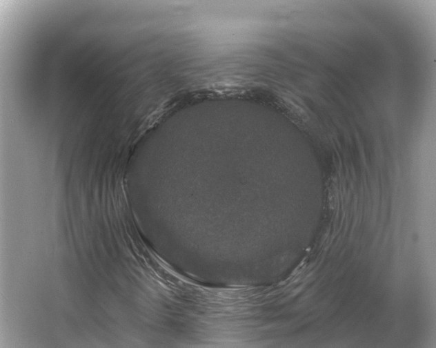 X0000066971298200603311438