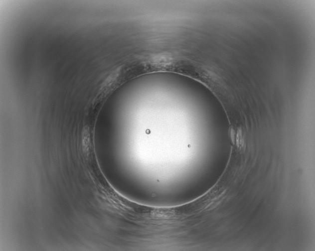 X0000066971299200603311438