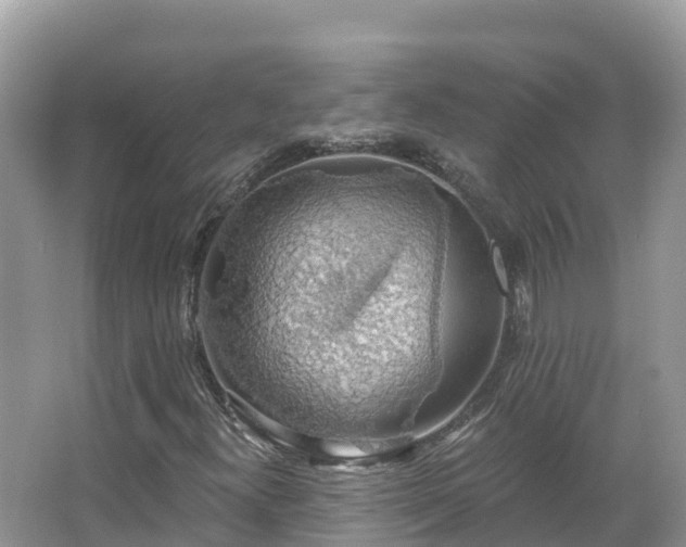 X0000066971300200603311438