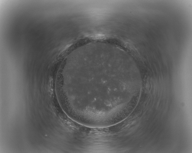 X0000066971301200603311438