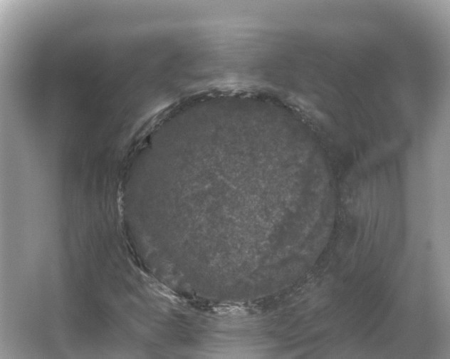 X0000066971302200603311439