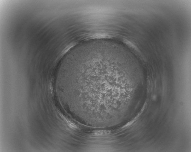 X0000066971305200603311439