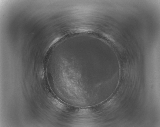 X0000066971306200603311439