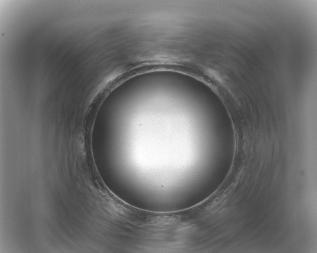 X0000066971307200603311439