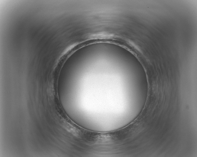 X0000066971315200603311439