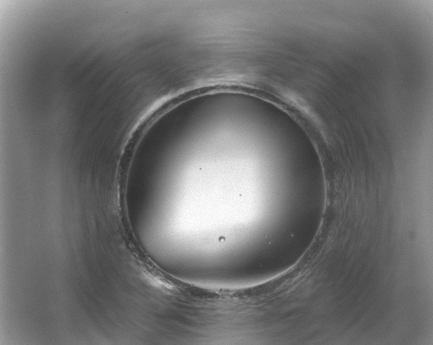 X0000066971316200603311439