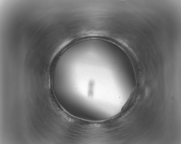 X0000066971317200603311439