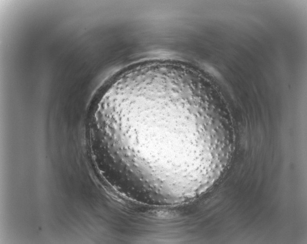 X0000066971318200603311439