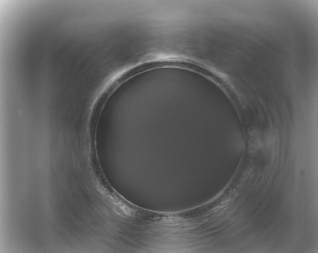 X0000066971319200603311439