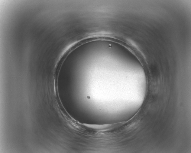 X0000066971320200603311439