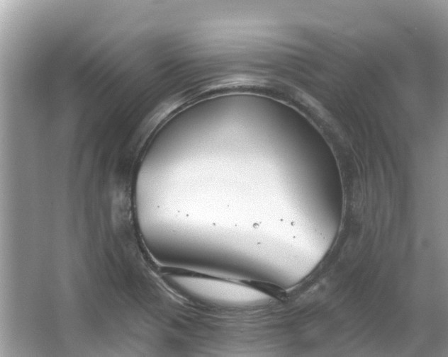 X0000066971321200603311439