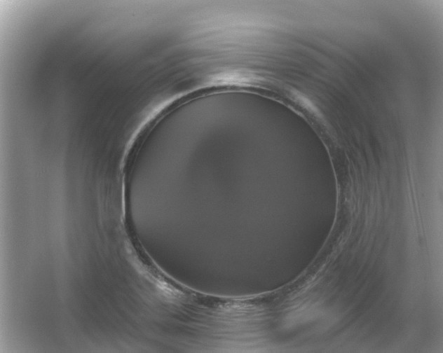 X0000066971323200603311439