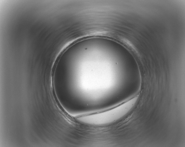 X0000066971324200603311439