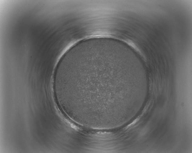 X0000066971325200603311439