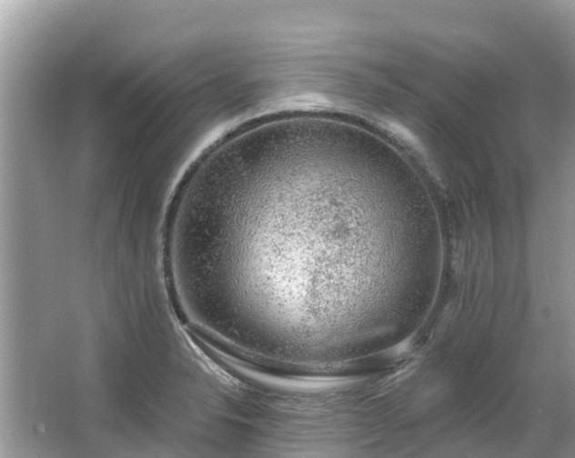 X0000066971326200603311439