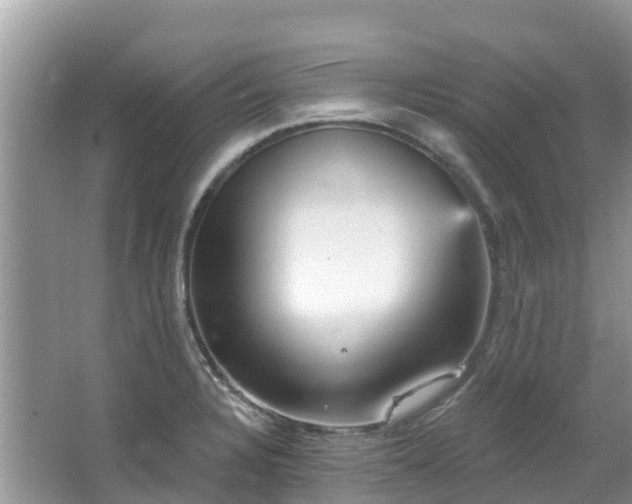 X0000066971328200603311439