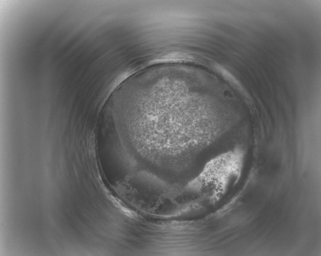 X0000066971329200603311439