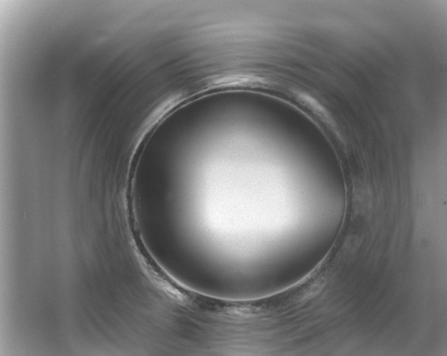 X0000066971330200603311439