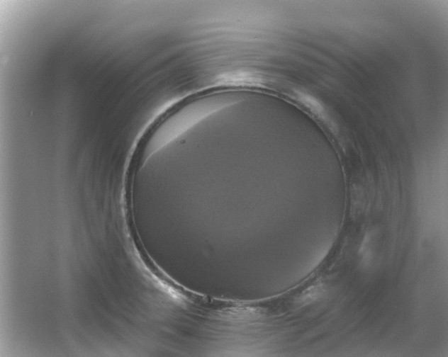 X0000066971331200603311439