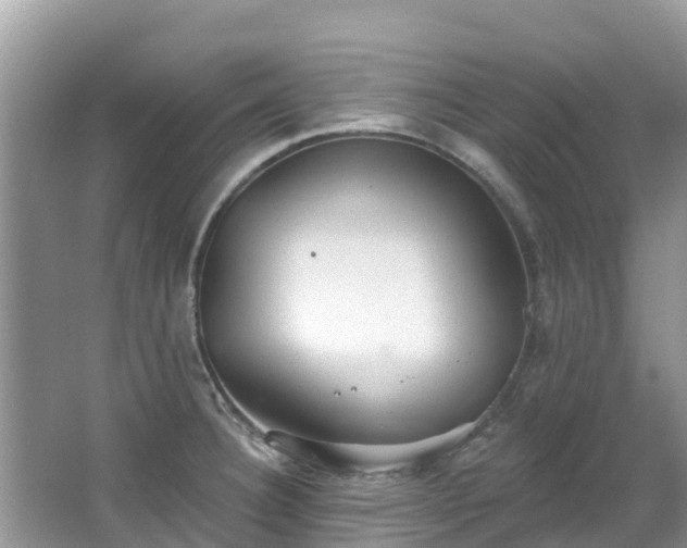 X0000066971332200603311439