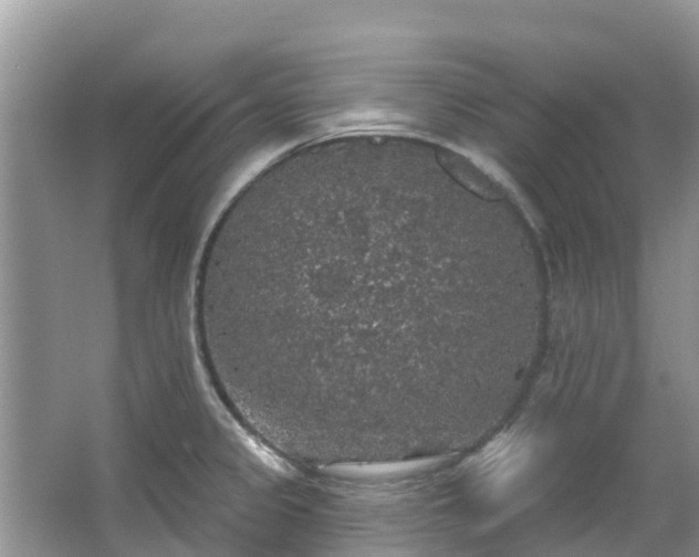 X0000066971333200603311439