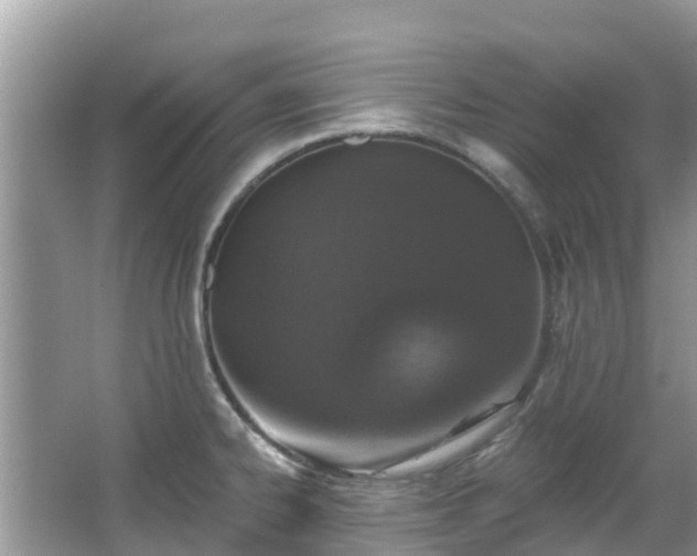 X0000066971334200603311439