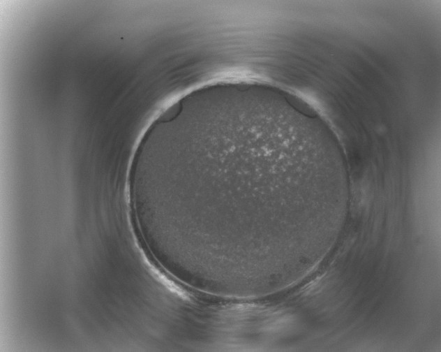 X0000066971335200603311439