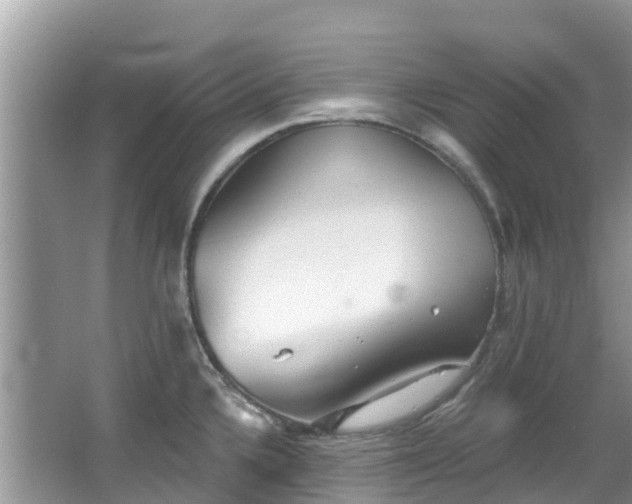 X0000066971336200603311439