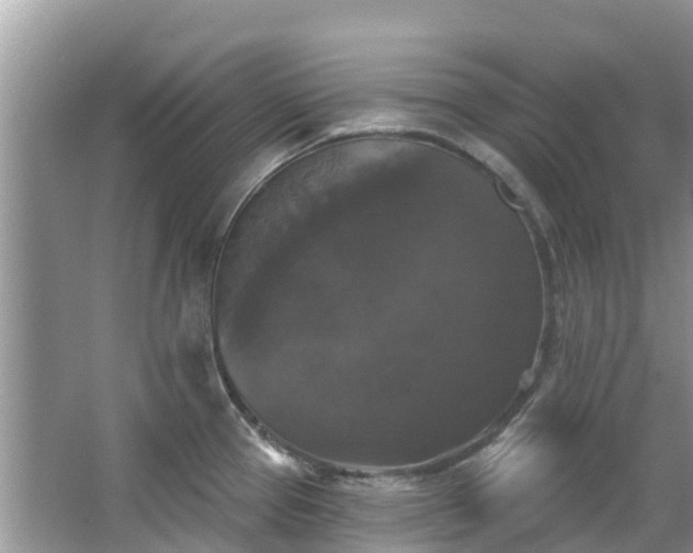 X0000066971337200603311439