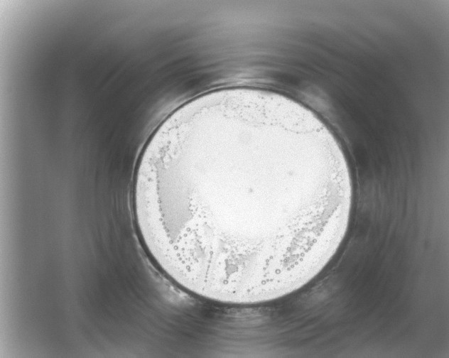 X0000066971338200603311439