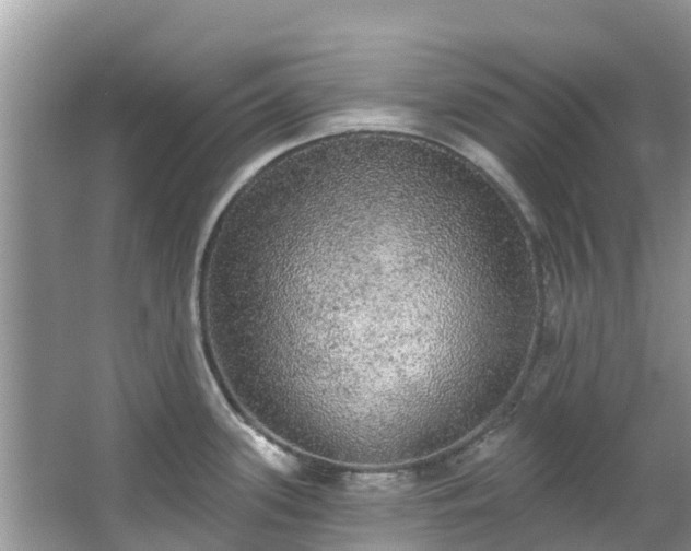 X0000066971339200603311439