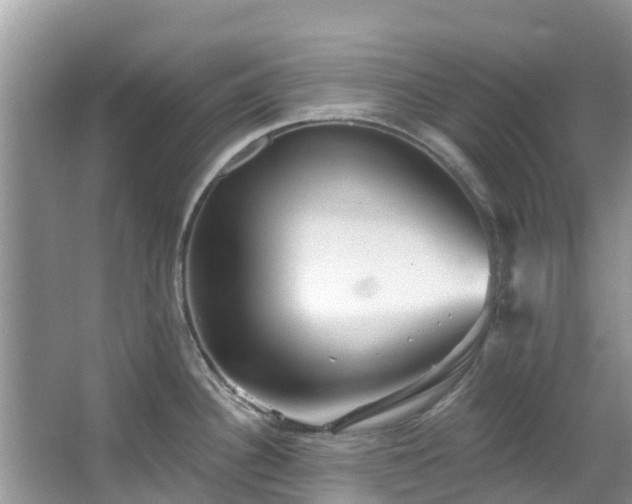 X0000066971340200603311439