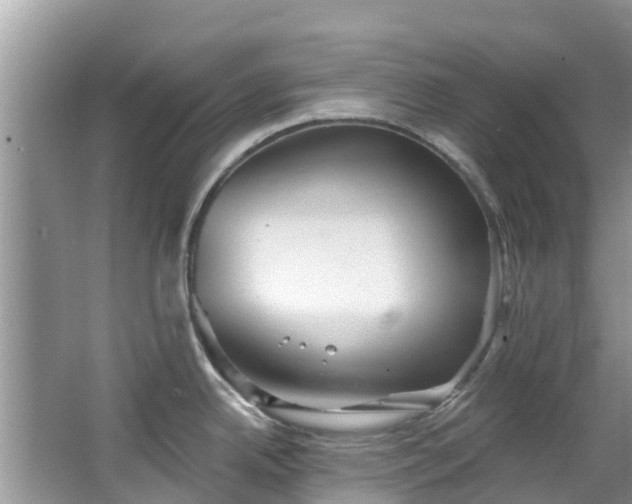 X0000066971342200603311439