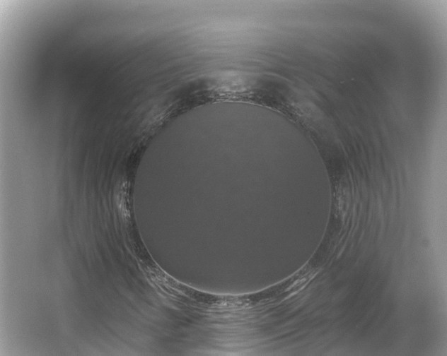 X0000066971346200603311438