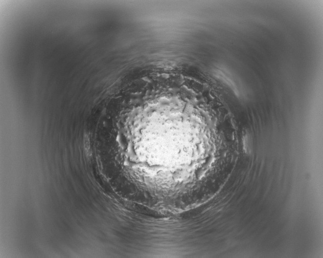 X0000066971347200603311438