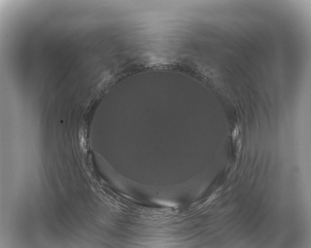 X0000066971348200603311438