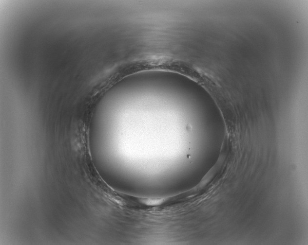 X0000066971349200603311438