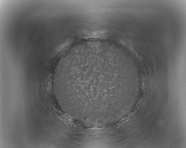 X0000066971350200603311438