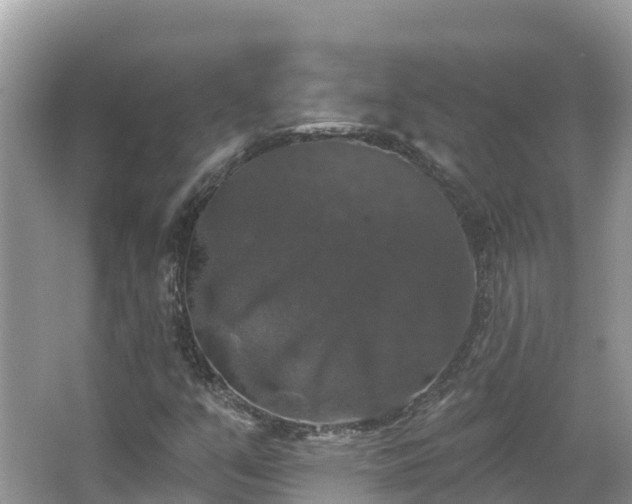 X0000066971351200603311438