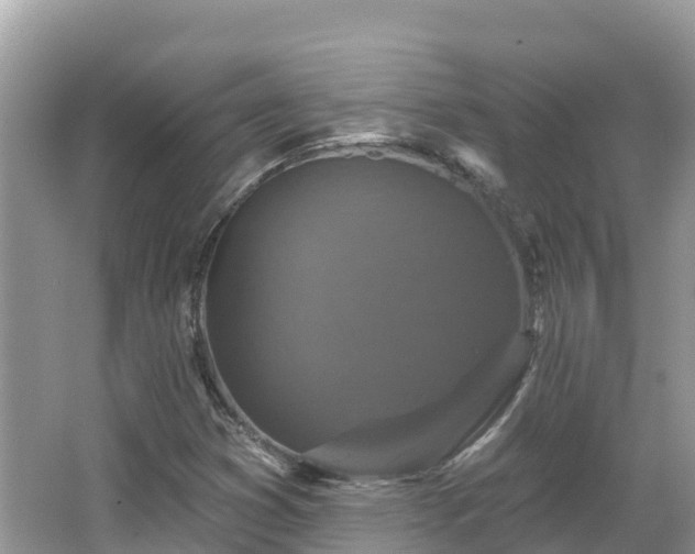 X0000066971353200603311438