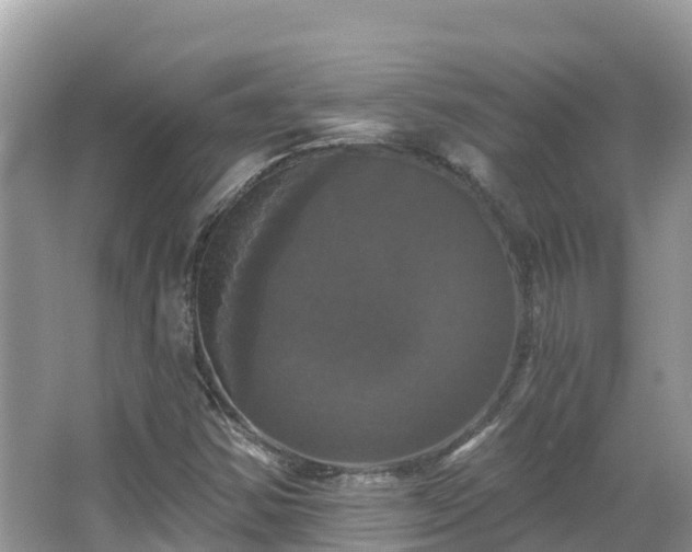 X0000066971354200603311438