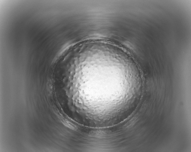 X0000066971355200603311438