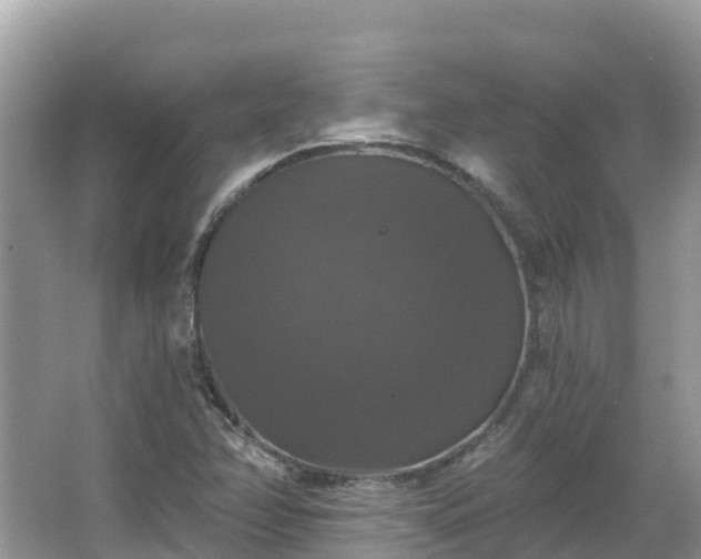 X0000066971358200603311438