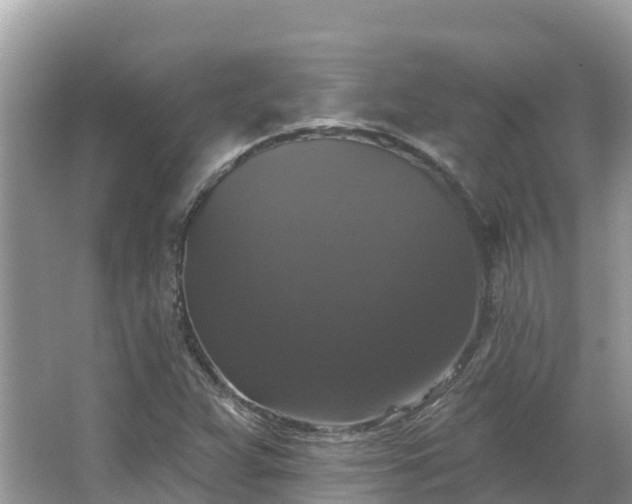 X0000066971359200603311438