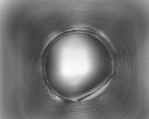 X0000066971360200603311438