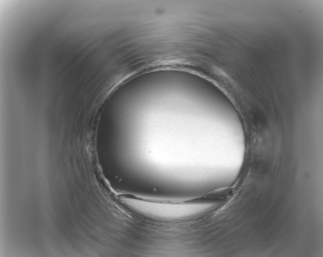 X0000066971361200603311438